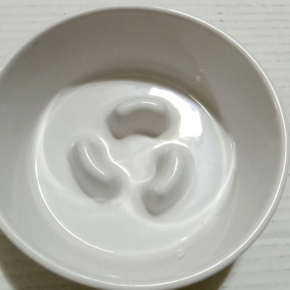 Ashtray ceramic shape as a dog bowl rocky